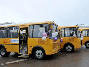 Школьный автобус в Завидово