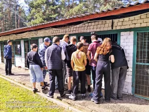 Лето. Отдых. Учеба.