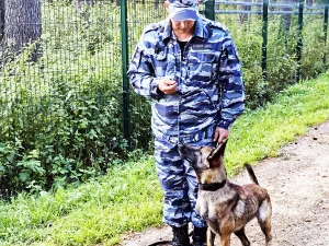 Лето. Отдых. Учеба.
