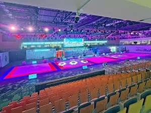 Джиу-джитсу. Чемпионат мира 2026