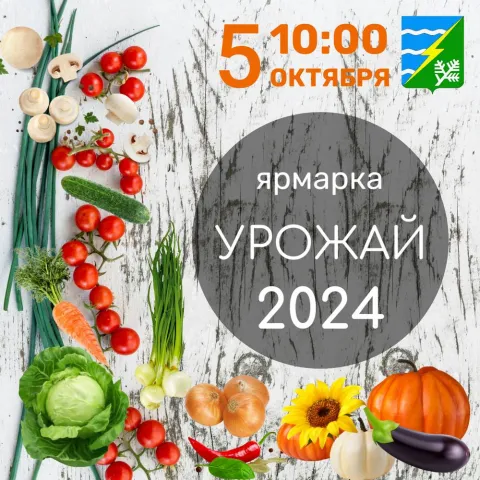 Ярмарка сельскохозяйственной продукции. Октябрь 2024