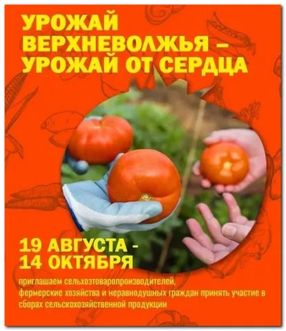 Урожай верхневольжья - урожай от сердца