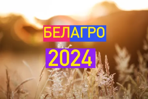 Выставка БелАгро. Июнь 2024