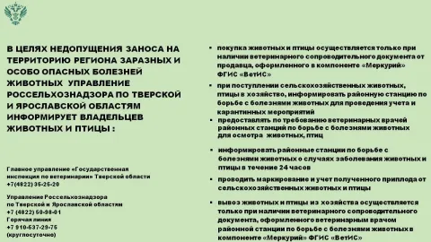 Корова без документов это мина замедленного действия