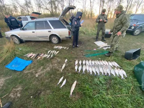 Браконьеры