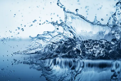 Вода вода кругом вода