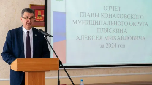 Пляскин А.М. отчет о работе за 2024 год.