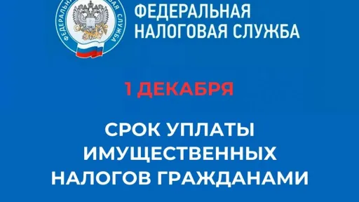 Налог. Уплати налоги и спи спокойно