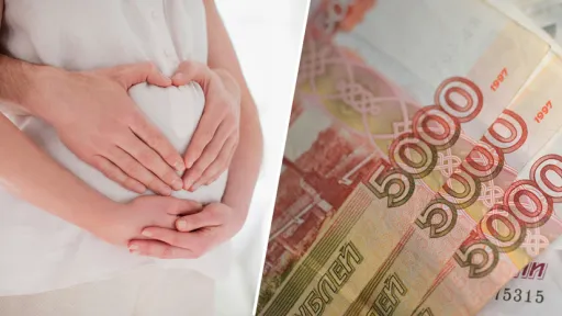 СФР. Пособие по беременности и родам.