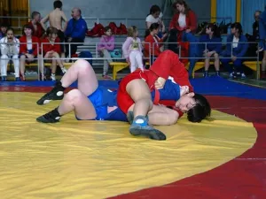 Прошел XVI традиционный турнир по самбо в честь Великомученика Георгия Победоносца и памяти протоиерея Ильинского храма Бориса Владимировича Ничипорова