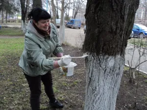 Сотрудники администрации вышли на субботник 30 апреля 2013г.