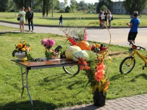 День села Завидово. 2017 год.