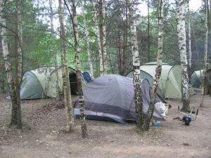 В Юрьево-Девичьевском сельском поселении прошел районный слет туристов. 2015 год.